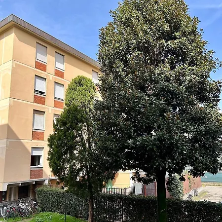 Magnolia 84 Florence
