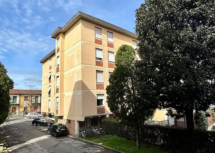 Magnolia 84